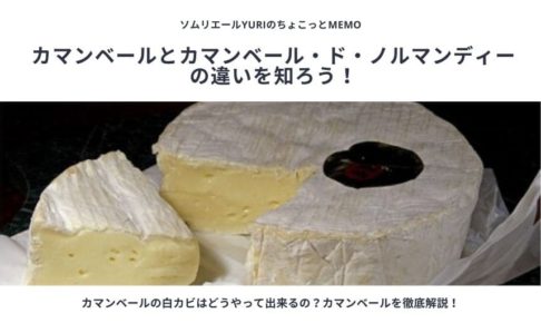 カマンベールだけじゃない 白カビチーズ7種類を徹底比較 初心者にもおすすめチーズまとめました ソムリエールyuriのちょこっとmemo