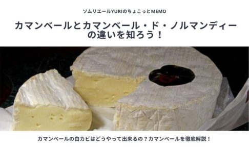 カマンベールチーズの白カビはどうやって出来る