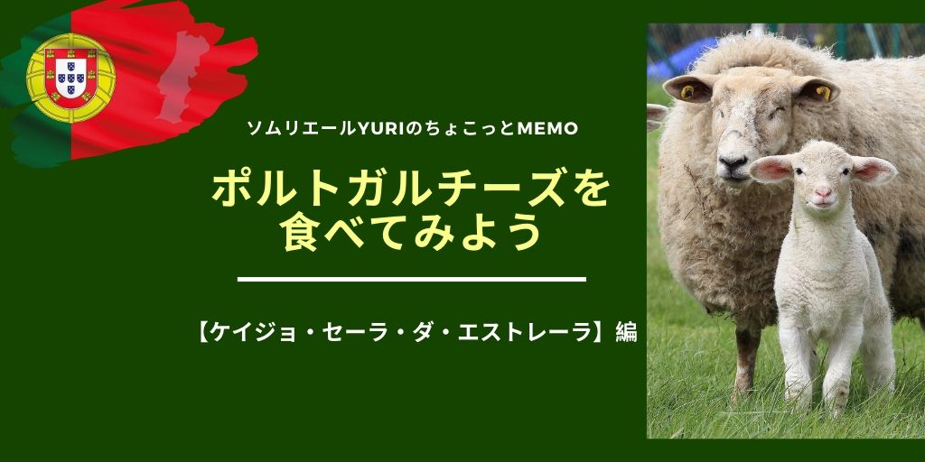 ポルトガルチーズの王様 ケイジョ セーラ ダ エストレーラ食べてみる価値あり ソムリエールyuriのちょこっとmemo