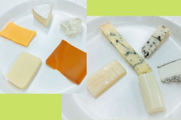 チーズプロフェッショナルの試験対策
