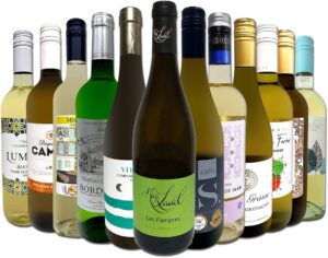 白ワインセット 辛口 飲み比べセット 飲みやすい 人気 白ワイン12本セット 京橋ワイン厳選 フランス、イタリア 直輸入 美味しい欧州ワイン